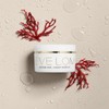 Eve Lom [Eve Lom] Moisture Mask 100ml / [이브롬] 모이스처