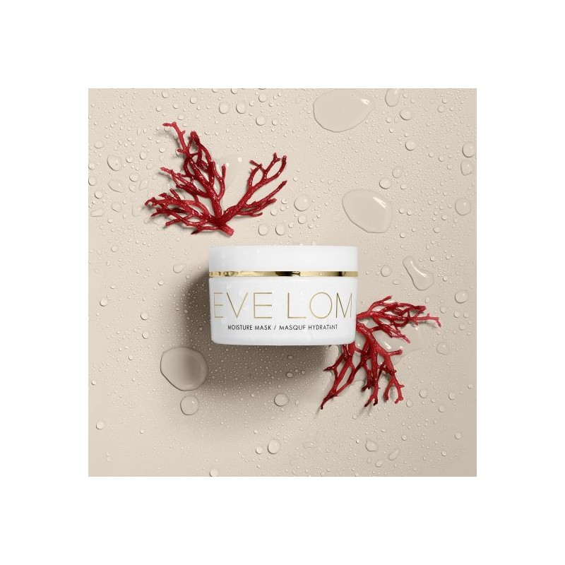Eve Lom [Eve Lom] Moisture Mask 100ml / [이브롬] 모이스처
