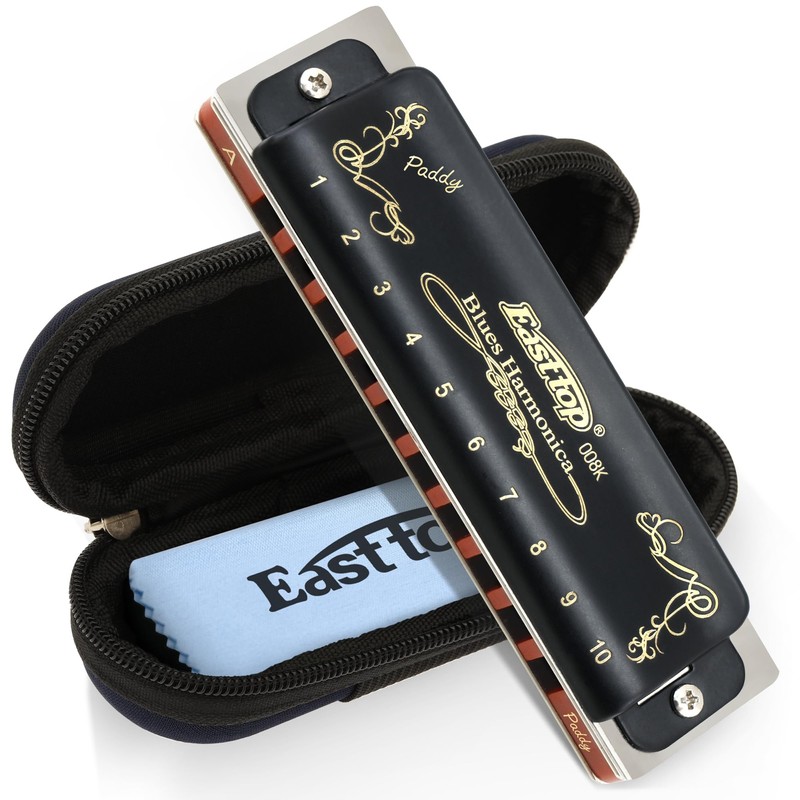 East Top 10 Holes 20 Tones 008K Blues Professional Diatonic