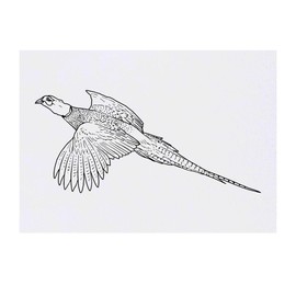 'Flying Pheasant' Temporary Tattoo - Water Resistant, Skin-Safe, Non-Toxic Transfer (TO00050140)
