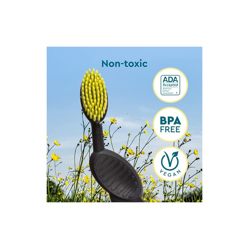Radius Cepillo Polvo Flexible Cerdas Suaves Bpa Aceptado Por Ada