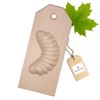 Hofmeister® wooden baking mould, 100 % made in Germany.