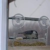 Window Bird Feeder, Bird House Window Suction Cup, Transparent Suction