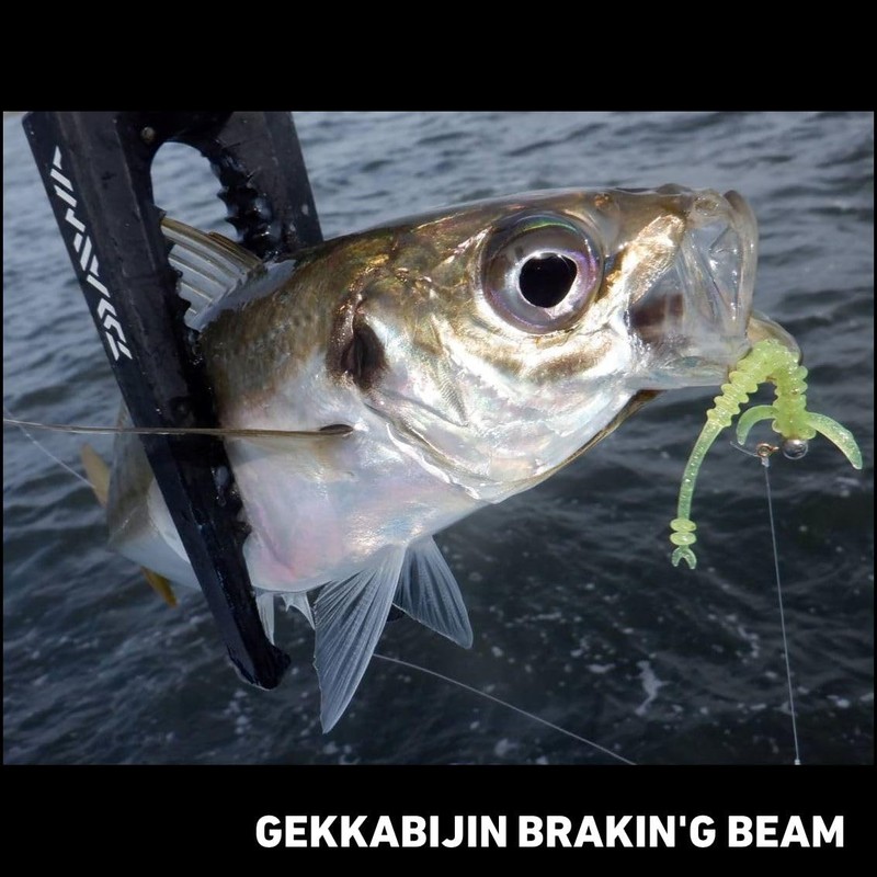 DAIWA Lure, Tsukiyobijin Break Beam 2.0, Light Chart
