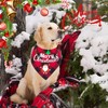 Pack of 2 Christmas Pet Scarf, Christmas Dog Neckerchief, Dog