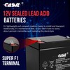 Casil CA-1240 12V 4AH Alarm System Battery Back Up Vista