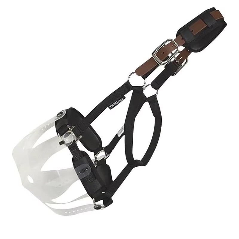 Thinline Turnout Halter for Use with Grazing Muzzle | Horse