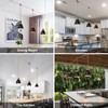 ALAISLYC 3-Light Plug in Pendant Light 22FT Industrial Hanging Lamp