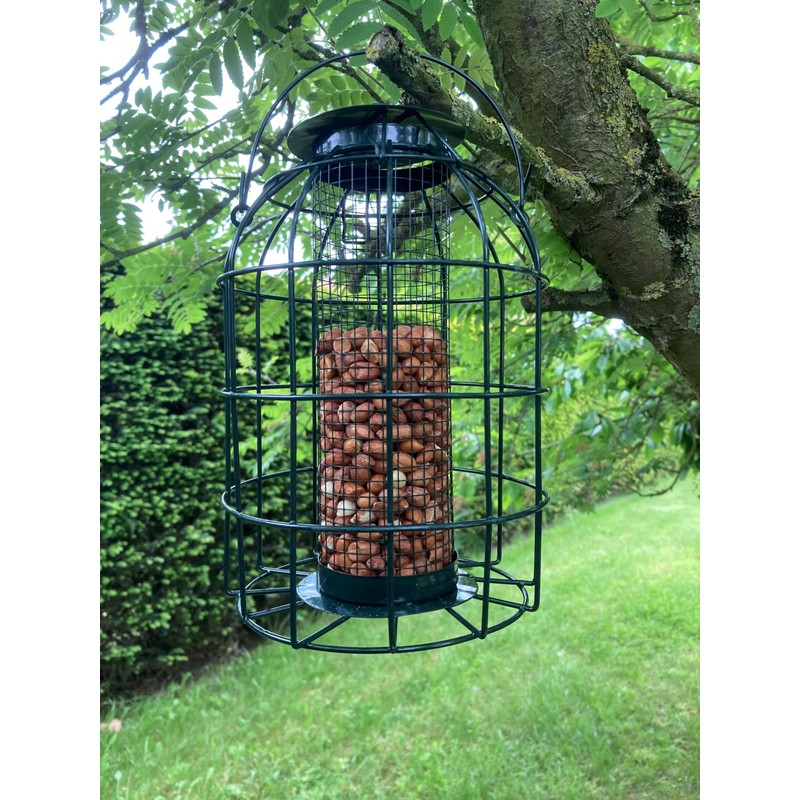 Oakdale Squirrel Resistant Peanut Bird Feeder