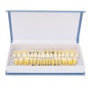 1:1 Scale Permanent Tooth Model 32pcs Dual Colors Permanent Resin