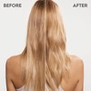 Kerasilk Essential Repairing Shampoo for Stressed and Damaged Hair, 250