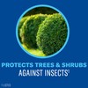 BioAdvanced Tree & Shrub Insect Killer, Outdoor Pest Control, Concentrate,