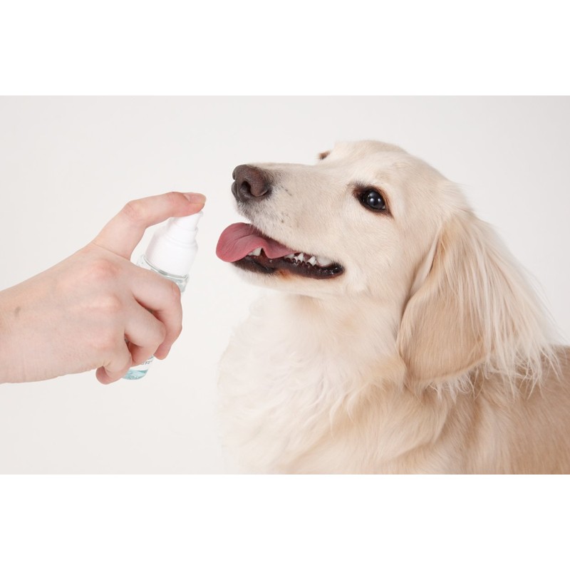 ペティオ (Petio) デンタルスプレー ペット用 50ml