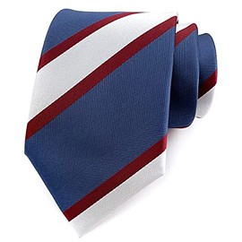 Men's Claret Red Blue Silver Woven Modern Striped Business Formal Suits Stunning Silk Ties for BF Father Husband