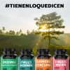 Enzimas Digestivas Probióticos Prebióticos Lactobacillus Acidophilus Lactasa Lipasa Otros Digestive