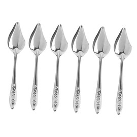 Kichvoe 6pcs Stainless Steel Professional Parrot Feeding Spoons Multi-function Bird Accessories for Cockatiels and Parakeets and Convenient Design for Home Pet Shops