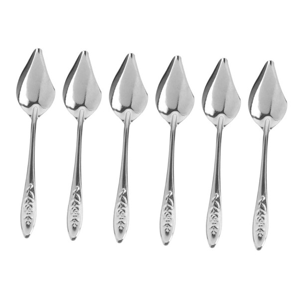 Kichvoe 6pcs Stainless Steel Professional Parrot Feeding Spoons Multi-function Bird
