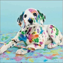 Blank/Birthday Greeting Card (WDM8103) Natural Talent - Dalmatian