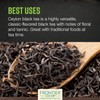 Frontier Co-op Organic Ceylon Black Tea, 1-Pound Bulk, High-Grown Orange