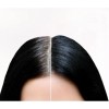 Shampoo Tinte Negro Detox 400 Ml Cubre Canas En 5