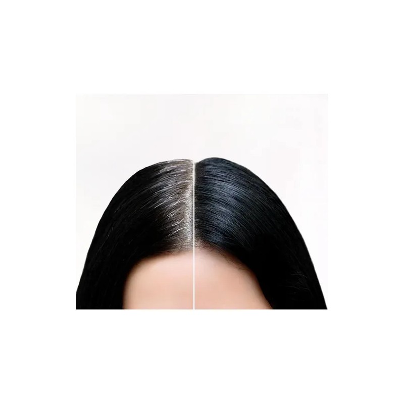 Shampoo Tinte Negro Detox 400 Ml Cubre Canas En 5