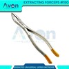 Dental Extracting Extraction Serrated Forceps #150, for Maxillary incisors, Canines,