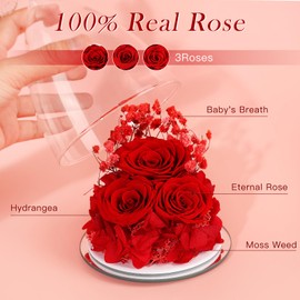 Preserved Flower Rose Gifts for Women, Forever Eternal Fresh Flowers in Glass Angel Figurines Flowers for Delivery Prime Red Roses for Grandma Mom Sister Her Wife on Mothers Day Birthday Christmas