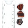 Red Tiger Eye Small Crystal Tumbled Stones - 5 Pc