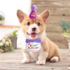 Dog, Birthday, Hat, Bandana, Pet Decoration, 3-Piece Set, Cat Birthday