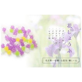 Fumiko Farm Konpeito Konpeito with a Message (1.1 oz (30 g) 20 Sets of Iris (Thank You) for Retirement or Petite Gifts