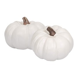 Elanze Designs Classic White 6 inch Resin Harvest Decorative Pumpkins Pack of 2