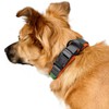 HUNTER Maldon Collar Orange Breathable Mesh Robust Nylon Silent &
