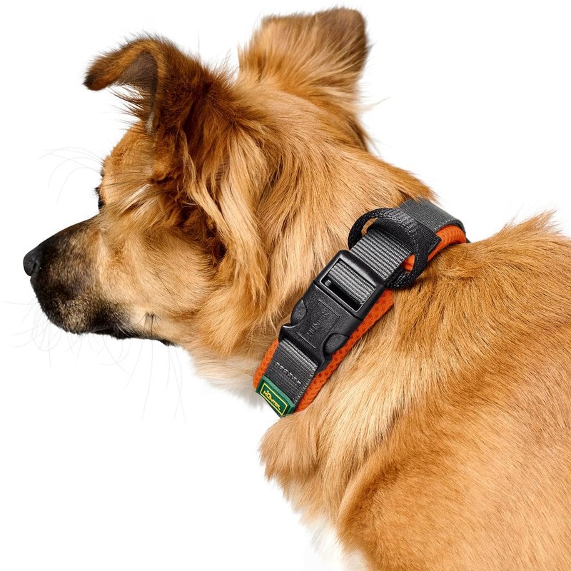 HUNTER Maldon Collar Orange Breathable Mesh Robust Nylon Silent &