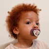 Difrax Lovi Dynamic Dummy for Babies, Luminous Dummy, 18+ Months,