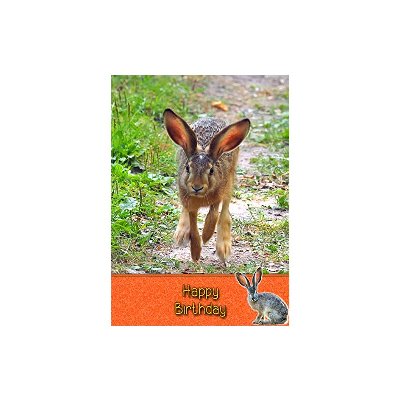 Hare Birthday Card