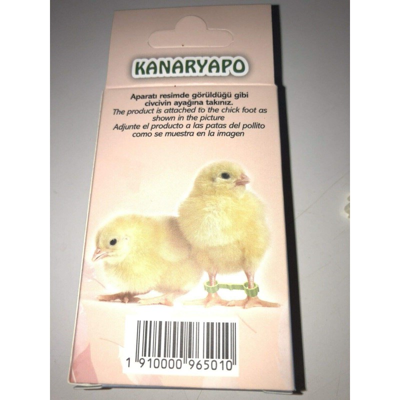 Fit Fly Chicken Chick Splayed Leg Treatment Bracelets