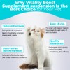Welsdom Pets Vitality Boost Supplement Suspension - 60mL | Enhances