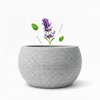 FloraVigo Sauna Aroma Bowl 10.5 x 6 cm, Aromatherapy Bowl