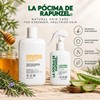 Pócima de Rapunzel KIT SHAMPOO (Crecimiento, fortalecimiento y brillo)