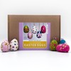 Bergin & Bath Needle Felting Kit - Easter Eggs -