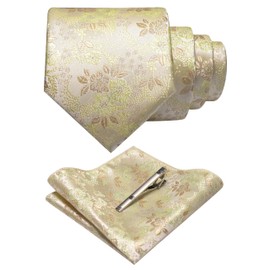 JEMYGINS Men's Floral Ties and Pocket Square Sets with Tie Clip Available in Various Colours, Beige/Hippie Green