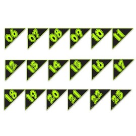 2 Digit Chartreuse & Black Auto Angle 2020 Model Years Windshield Sticker CAR DEALERSHIP AUTO Dealer Supplies