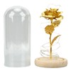 Rose in Glass Dome Lucky Beautiful Symbolism Romantic Enchanted Rose