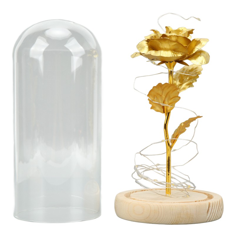 Rose in Glass Dome Lucky Beautiful Symbolism Romantic Enchanted Rose