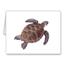 DJ Rogers Fine Art Sea Turtle - Set of 10 Note Cards With Envelopes