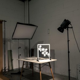 V-FLAT WORLD Shadow Board for Food & Product Photography, Photo Backdrop, Mimic Natural Light Effects, Reusable Board Backdrop for Photoshoot, Content Creation, Shadow Simulator, Maple Leaves