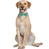 St.Patrick's Day Dog Collar with Removable Cute Bow Tie Lucky