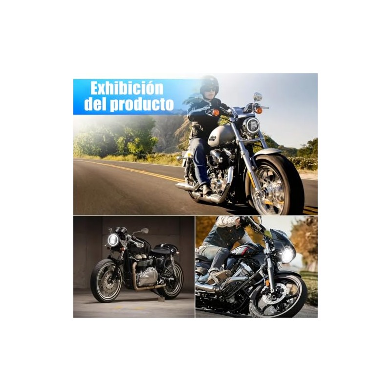 Italika F02010226 Brazo Horquilla Trasera para Motocicletas, Acero, Negro