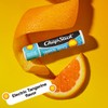 ChapStick Lip Care, Tropical Treats Collection (6 Sticks) – Electric