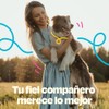 Dogelthy Multivitamin 20 en 1. Suplemento Multivitamínico para Perros